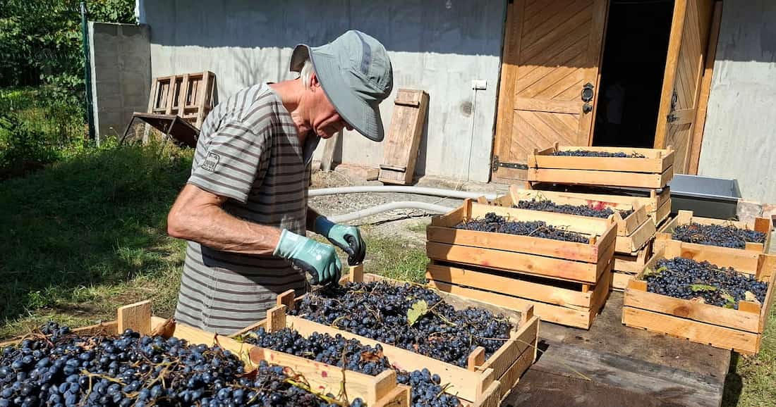 Bleibende Erinnerungen an die Winzerreise 2026