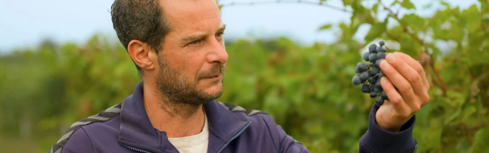 Fabio from Inavarde Wines in his organic vineyard in Kakheti, Georgia