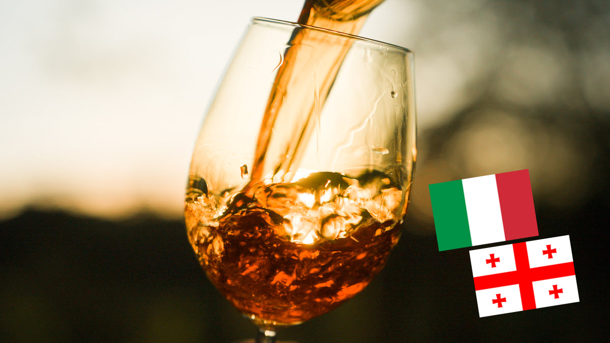 Italienisch-georgische Weindegustation in Wettingen