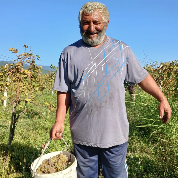 Georgia Wine Trip 10 Days as a Winemaker in Georgia